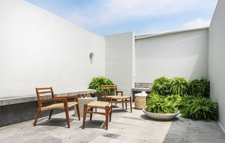 This Mexico City Hotel is a Showcase of New Mexican Design - Photo 6 of 7 -