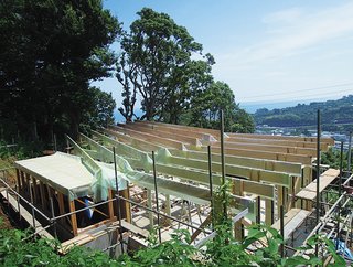 Japanese Home Among the Trees Uses Bookshelves and Glass for Walls - Photo 2 of 8 - The architects designed a low structure that clings to the topography of its forested site.
