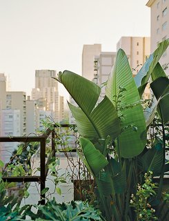 Amazing Garden Oasis in São Paulo Born from a Five-Year Search and Renovation - Photo 2 of 15 -