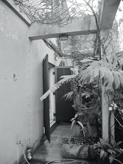 Amazing Garden Oasis in São Paulo Born from a Five-Year Search and Renovation - Photo 14 of 15 -