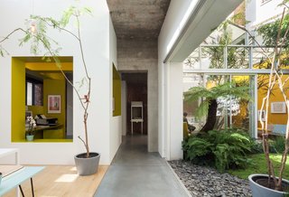 A Creative Dreamworld Complete With Neon Rooms and a Tropical Garden - Photo 4 of 11 - A combination of sliding doors, strategically placed voids, and large indoor plantings create fluid boundaries between indoors and out. The interior courtyard garden—landscaped with tropical plants and volcanic sand—is visually accessible from nearly every room, including the dining and kitchenarea.