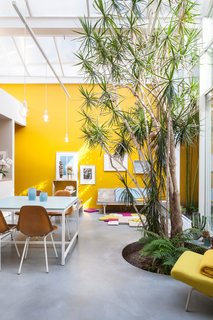 The Power of Color and What Each Shade Is Best For - Photo 1 of 11 - Furnished with vintage Eames chairs, a second-hand sofa, and pendants and tables designed by Nathalie, the space is kept purposefully casual. She painstakingly mixed and tested the paint for the mustard-yellow walls herself—15 times—to match the hue of a Kvadrat textile.