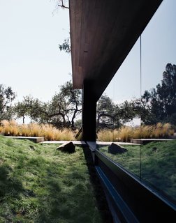 Wouldn't You Like to Have Your Own Private Concerts at Home? - Photo 2 of 10 - Walker left the site in its natural state, but added grasses along the path to the entrance.