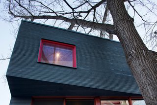 The mezzanine houses the new master bedroom, which juts out into the embrace of the poplar tree. 