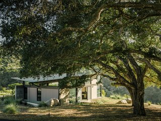 Retirement Never Looked Better and More Sustainable - Photo 9 of 10 - The bedroom pavilion is mostly hidden, thanks to a massive native California oak—part of a grove. "That’s the good thing about oaks—they keep their leaves in the winter, so you don’t have one view in the summer and another in the winter," Suzanne says.