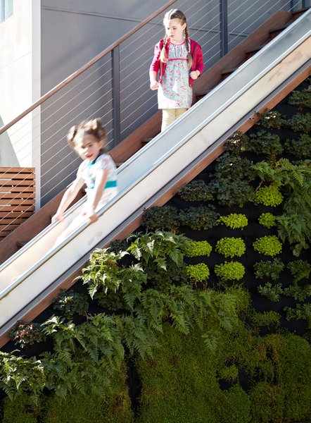 Viarengo added a custom stainless-steel slide to the property’s guest cottage. A green-wall system by Florafelt adds life to the vertical space.