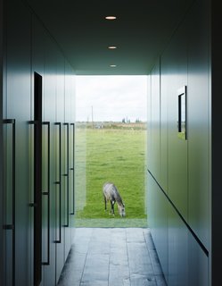Discreet kitchen storage, which conceals the refrigerator, a wine cooler, the freezer, recycling, and cleaning materials, complements a view of one of the family’s five horses.