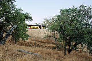 When Prefab Is Painless - Photo 7 of 7 - Though the Burtons are landscape architects, they took an intentionally hands-off approach to their own land, which is part of the 1,800-acre Long Valley Ranch, a former cattle ranch. "We made very few moves, beyond planting fifty olive trees and some native shrubs and grasses," says Bill. "We wanted nothing in the landscape to be edible or pretty, nothing to attract animals to the house." Nevertheless, they’ve spotted plenty of fauna thanks to motion-activated "trail cams" they use to spy on local wildlife. To date they’ve snapped photos of mountain lions, bobcats, wild pigs, and a bear.