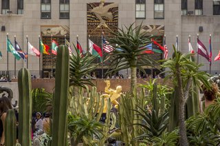 Just Desert: A Cactus Garden Grows in Midtown Manhattan - Photo 1 of 4 - For the month of June 2016, Rockefeller Center's Chanel Gardens will be filled with a cactus garden designed by Lifescapes International.