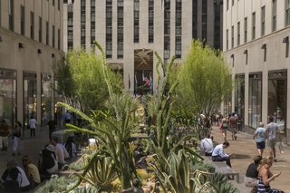 Just Desert: A Cactus Garden Grows in Midtown Manhattan - Photo 4 of 4 - The installation starts at Fifth Avenue and runs toward the ice rink at the base of the iconic Art Deco 30 Rock skyscraper. 