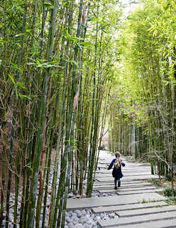 The property is divided into zones, including a shade garden with a meandering path of staggered concrete pavers flanked by bamboo. As this area is sloped, the designers created a swale effect with permeable river rocks on one side. 