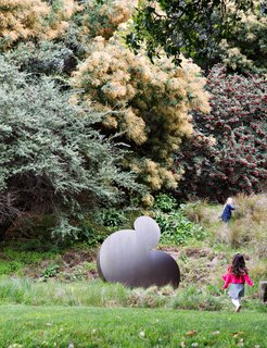 Another important element to the overall design scheme is the incorporation of sculpture, intended to encourage interaction between the landscape and the art. Roundout, 2005, an aluminum piece by Travis Constance, is found amid native grasses, including feathery yellow Nassella tenuissima, which acts "as a nest for the sculpture," says Wyllie. It is joined by a cotoneaster, a flowering plant with red berries, and a yellow-blooming acacia. 