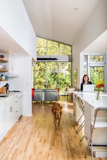 25 Dogs Living in the Modern World - Photo 10 of 25 -
