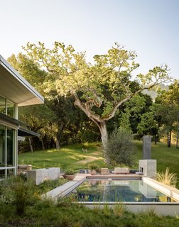 Wildlife are frequent visitors here, but the area’s active woodpeckers aren’t very welcome, so the house is clad in corrugated metal siding by Recla Metals.