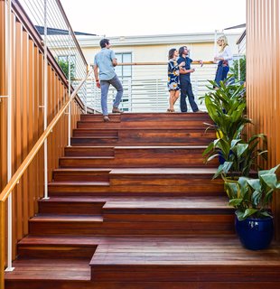 High Above Traditional Charleston, a Modern Home Finds its Roost - Photo 3 of 7 - The staggered terrace, lined with cast iron plants (Aspidistra elatior), leads up from the living room. 