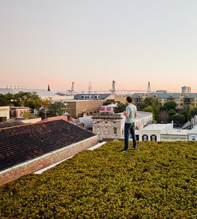 High Above Traditional Charleston, a Modern Home Finds its Roost - Photo 5 of 7 - Twenty species of drought-resistant succulents, punctuated by solar panels, carpet the top of the home. Green Roof Outfitters installed the plants in modules. 
