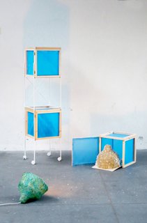 To create the MYX lamp, Edvard grows the mushrooms for about two to three weeks. 