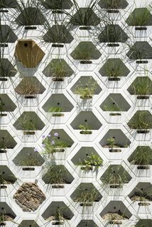 This Prototype Modular System Could Bring Green Walls to Parking Garages - Photo 2 of 5 - The plantings—including Virginia creeper, cross vine, and Mexican feather grass—were carefully selected to attract anole lizards, hummingbirds, butterflies, and birds like hawks and owls. 