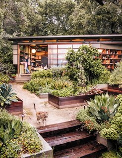 A section of the facade—a cross between a shoji screen and a barn door—slides open. Planter boxes contain edible varieties that fuel Mary’s culinary explorations. 