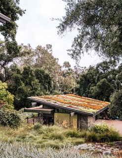The sloped roof of Carlton’s art studio grows a colorful mix of sedum species. 
