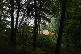 From the park’s wooded paths, the butterfly roof of the home’s airy central volume is visible behind a rectangular unit. 