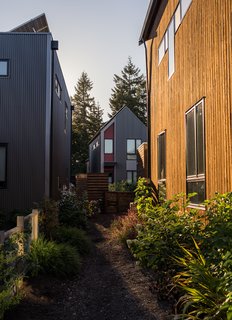 Each "micro-hood" consists of six to eight houses around common outdoor spaces. Davis was careful to design for privacy: Large windows face south and small ones point north to avoid big expanses of facing glass.