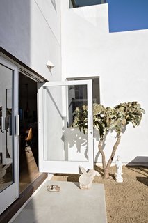 Such Great Heights - Photo 3 of 13 - Doors recycled from an East Los Angeles grocery store lead to the backyard, which is populated with "stark and minimal" plantings, says Siegal, like the Velvet Elephant Ear.