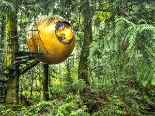 10 Surreal Tree Houses That Will Make Your Childhood Dreams Come True - Photo 5 of 10 - Inspired by the principle of Biomimicry, Free Spirit Spheres’ goal is to "create new ways of living that are well-adapted to life on earth over the long haul." Based outside of Vancouver, the company specializes in tiny spherical tree houses that are works of art. You can even book an escape to spend the night in one at their forest hotels!