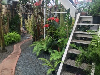 Creatives of the Bay Area Series: Evan Shively and Madeleine Fitzpatrick - Photo 6 of 10 - This pathway in the greenhouse guides you to one of the separate wings of the house. The stairs are repurposed from a winery installation that they use to water plants that reach upwards of 20 feet. It also acts as a place to perch within the greenhouse. 