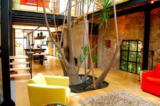 The 200-year-old hacienda features a Yucca tree, which divides the living space, dining area, and a rooftop terrace that features gorgeous views of the surrounding gardens and mountains. 