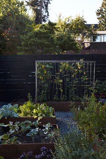 Greener Grass - Photo 12 of 14 - In the garden, vines of honeysuckle are intertwined on a steel-mesh trellis.