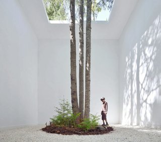 Anouk Vogel's installation "Courtesy of Nature" is built around the natural environment in Quebec.