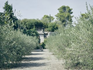 Mine Dining - Photo 4 of 18 - An olive grove frames Lolo’s farmhouse.