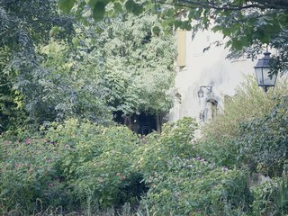 Mine Dining - Photo 17 of 18 - Although the late-life restaurateur lives in solitude and has never been married, he seldom lacks company.