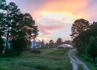 An Eco-Friendly Community Outside of Atlanta Celebrates Nature and Sustainability - Photo 1 of 10 - The community revolves around a variety of green spaces, including open fields, farmland, and forests.