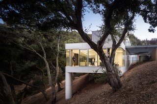 The Conversation Pit Makes a Much-Appreciated Comeback at an Ultramodern Home in Cupertino - Photo 1 of 9 - Two trunk-like columns support an aluminum-and-zinc-clad home in the foothills of the Santa Cruz Mountains designed by architect Craig Steely. With an intention to disrupt as few oak trees on the dense site as possible, Steely built the glass-walled house to nestle against the steep hillside. Visitors access the entrance from above, descending to the living spaces via a native grass-covered roof. 