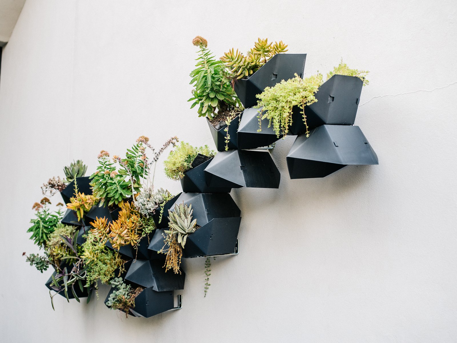 Succulents spill out of planters from Wayfair on an outer wall. “The idea was to imitate birds flying up to the sky,” Lynn says.