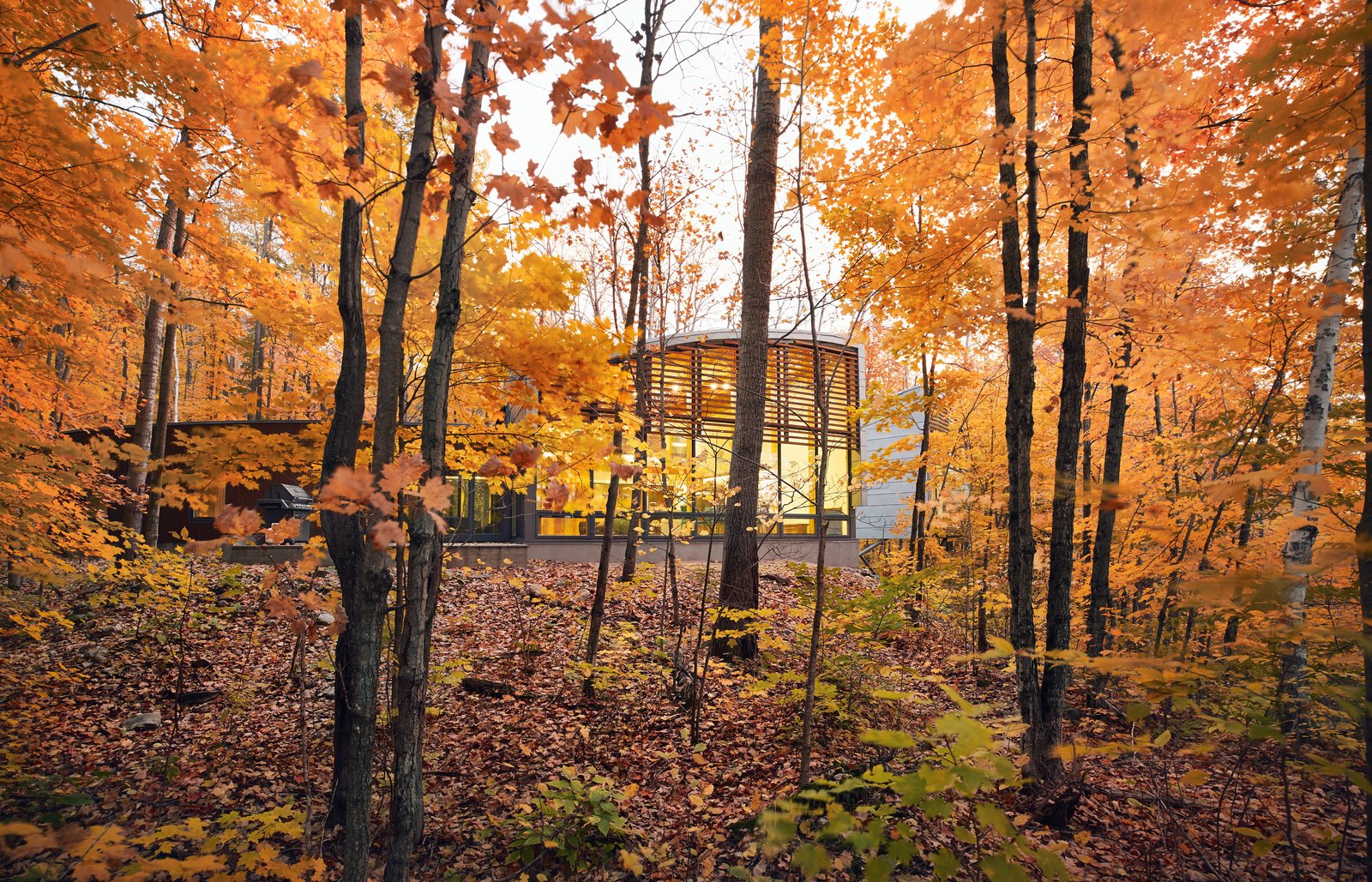 Clad in SPF lumber, zinc, and glass, David Bronskill and Mark Dilworth’s vacation home on Oblong Lake fans out to capture wide views of the forest. “Nothing is straight in the plan,” says architect Roland Rom Colthoff of RAW Design, who conceived the 2,500-square-foot escape. From left to right, there are three structures: a three-bedroom guest wing, a voluminous communal area, and a semi-detached master suite. Two of the wings share an unusual fin-shape design because of their varied ceiling heights.