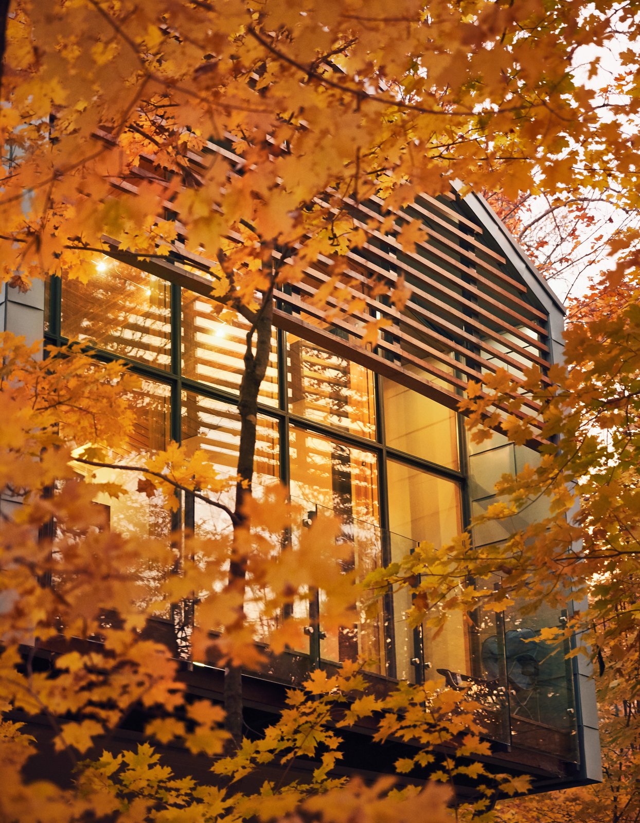 The windows were manufactured by Kolbe Windows & Doors. Louvers cover the clerestories, reducing glare and helping with passive climate control.