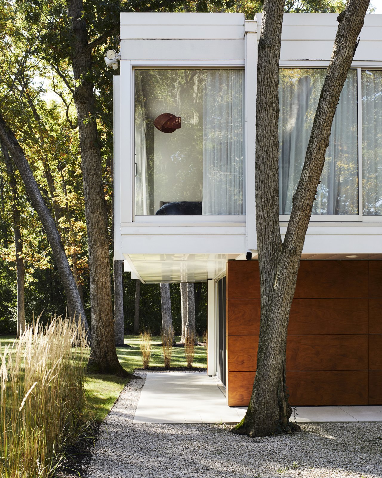 Outside, Eva and landscape designers Rosborough Partners thinned the trees directly surrounding the home. The paint on the steel beams is Extra White by Sherwin-Williams, coated in Duration Exterior Acrylic Latex.