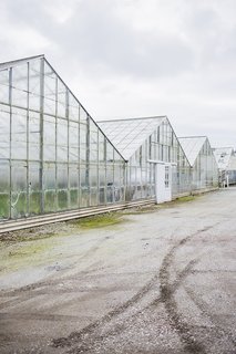 Florealm gathers many of their blooms from the area around Half Moon Bay, which is where you can find these serene greenhouses that line the road leading up to the beach.