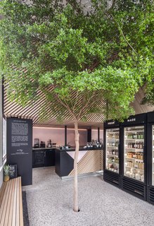 In the basement of this tiny Dutch juice shop, the tree rests in a bucket of fertile soil and is connected to irrigation. 