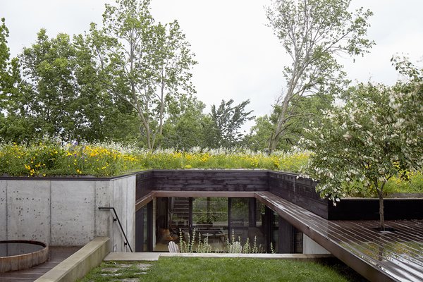 Stained cedar, ipe, and concrete form the 2,500-square-foot home's modern palette. Indigenous wildflowers and native grasses grow on top of the structure; this planted roof also helps insulate the home and limit its energy needs.