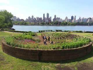 The Evolution of an Urban Wasteland: Socrates Sculpture Park at 30 - Photo 7 of 8 - The work is covered with a range of pollinator plants that attract bees.