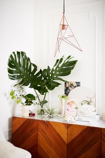 500 Square Feet Is Just Right in Greenpoint - Photo 5 of 6 - "Until last year, it was difficult for me to keep any plants alive," Cecilia says. "At some point, something in me changed, and I learned little by little how to make them happy."