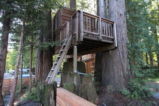 Right when you enter the yard through the gate, you’ll find a simple tree house that was built for Loewinger’s daughter. 