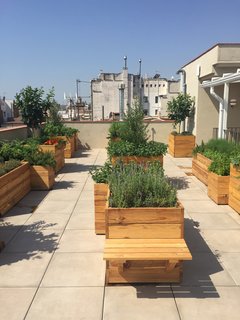 A Boutique Hotel That Captures the Creative Spirit of Barcelona - Photo 6 of 12 - The newly opened rooftop terrace features a fragrant garden that was created by Alejandra Coll. The ingredients grown here will be used at the restaurants and bars in the hotel.