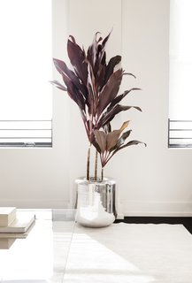 This New Jewelry Showroom Celebrates 'Made in L.A.' From Top to Bottom - Photo 4 of 9 - Also in the lounge/waiting area sits rounded metal planters that are part of Early Work’s product line. Throughout the space are versions in both a high polished mirror finish (shown here) and a textured powder-coated finish.