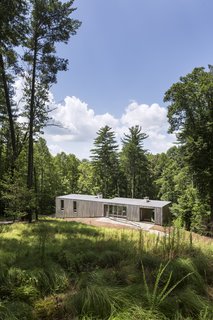 A Cypress-Clad Lake House Posted Up on an Old Logging Road - Photo 2 of 4 - The simple bar-shaped house is buried into the hillside, which allows for unobstructed views of the woods below.<span> <a href="/discover/dwelllpow">#dwelllpow</a></span>