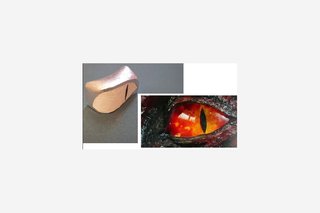 Timber Design Wales' Dragons Eye
